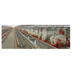 Broiler Breeder Layer Cages